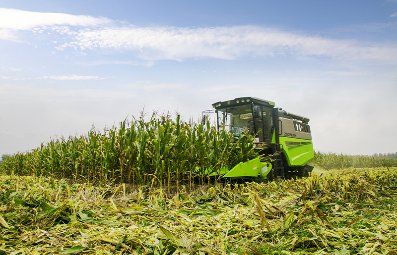 TE100 Weat Combine Harvester working in Bahawalpur, Pakistan